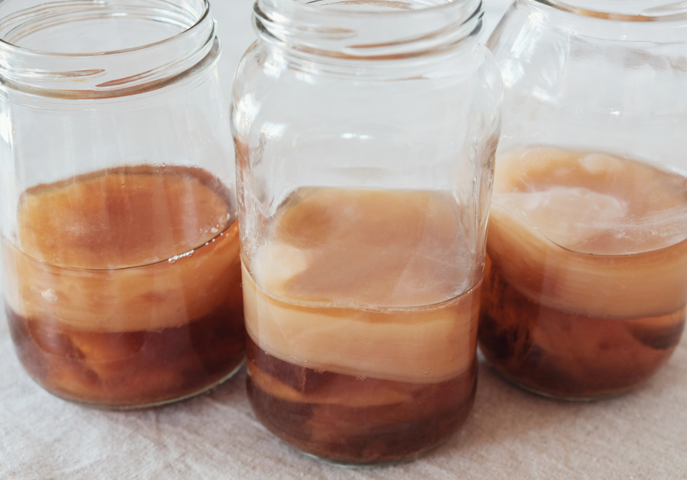 Fermentation vs. Verdauung/Fermentiertes - 25.04.2025